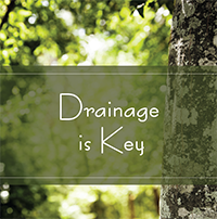 Drainage is Key